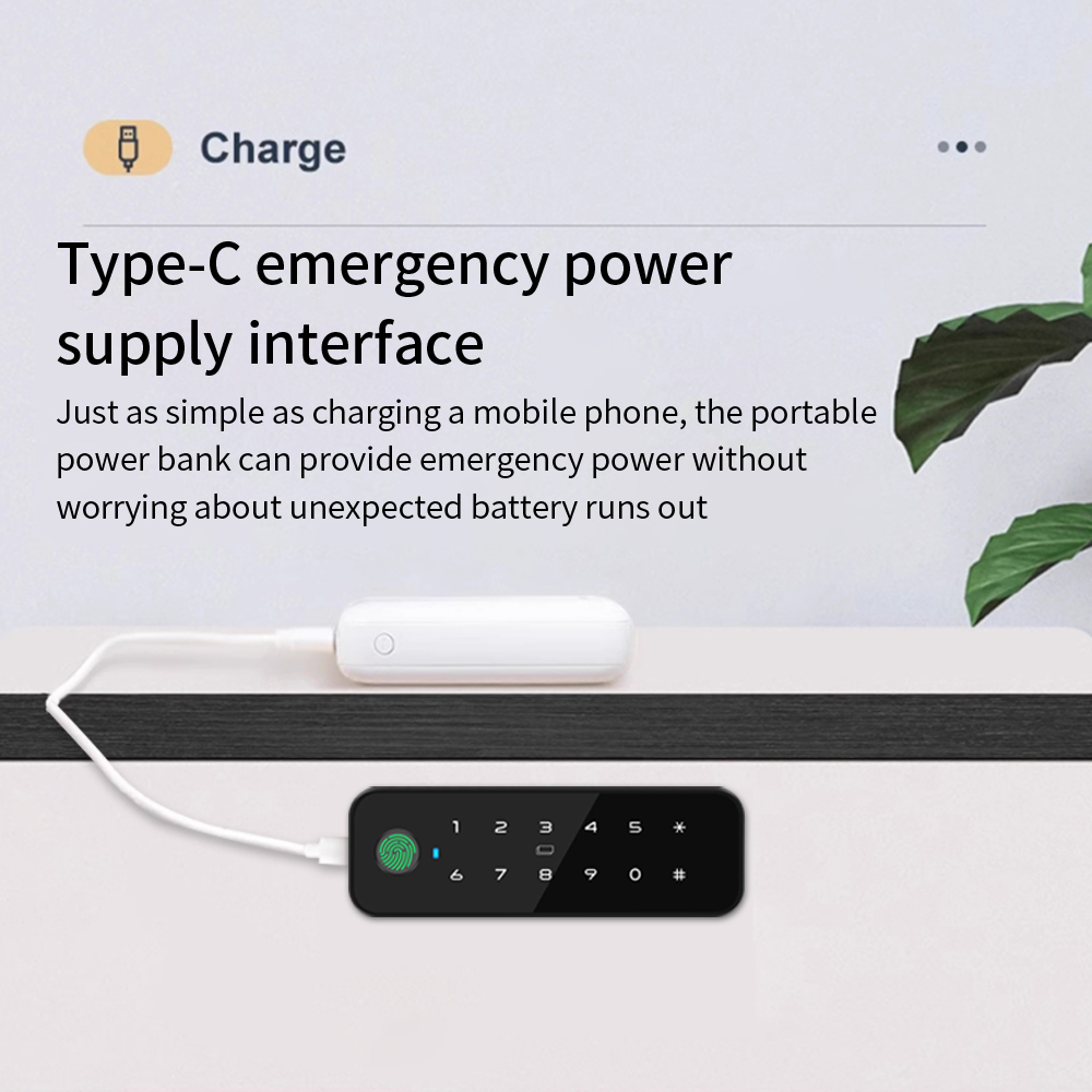 Tuya Bluetooth умный деревянны – обзор и цена Smart Door Lock