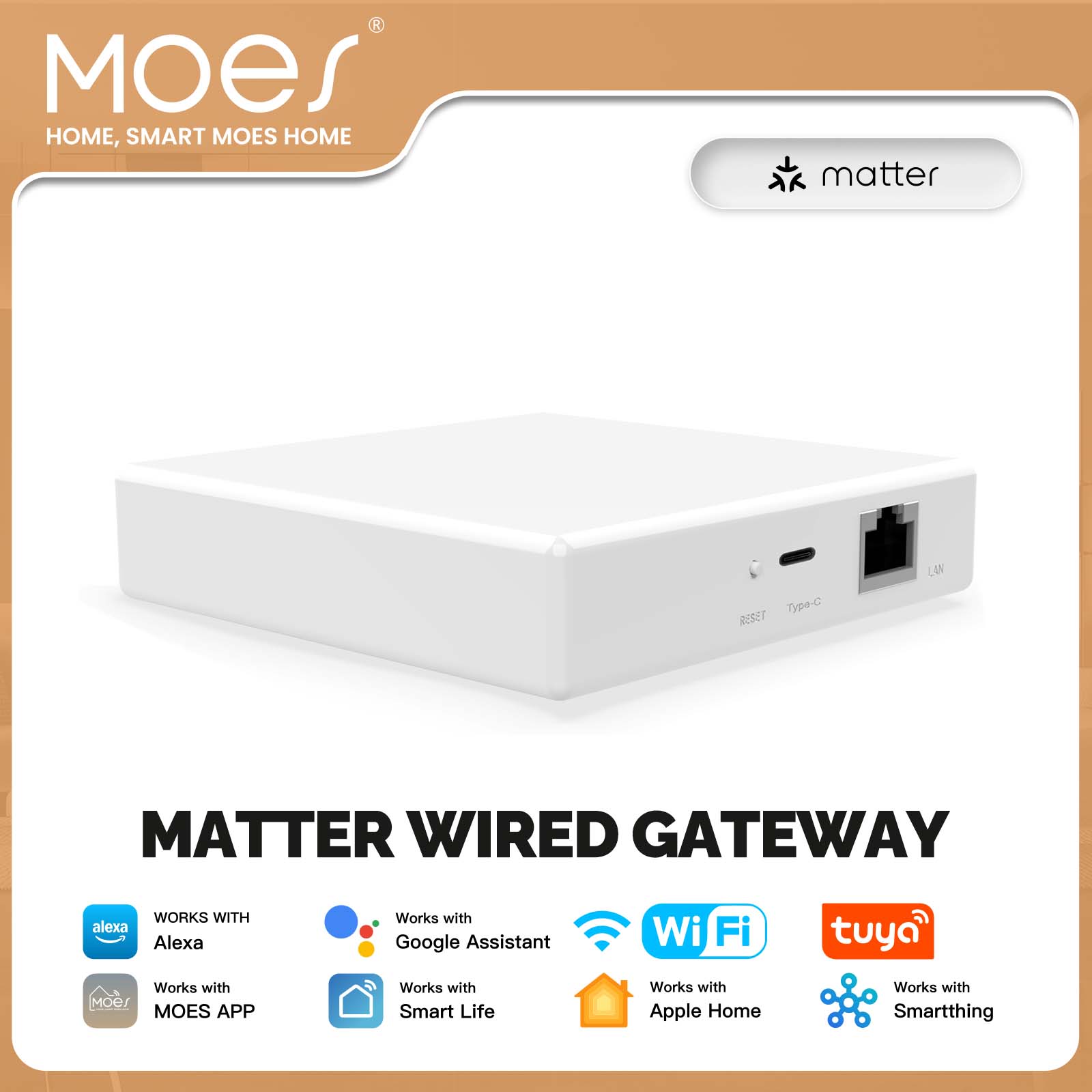 MOES Tuya ZigBee Matter Thread – обзор и цена Smart Home Zentrale